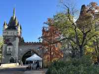 Budapest’s Baroque Charm: A Stroll Through Time