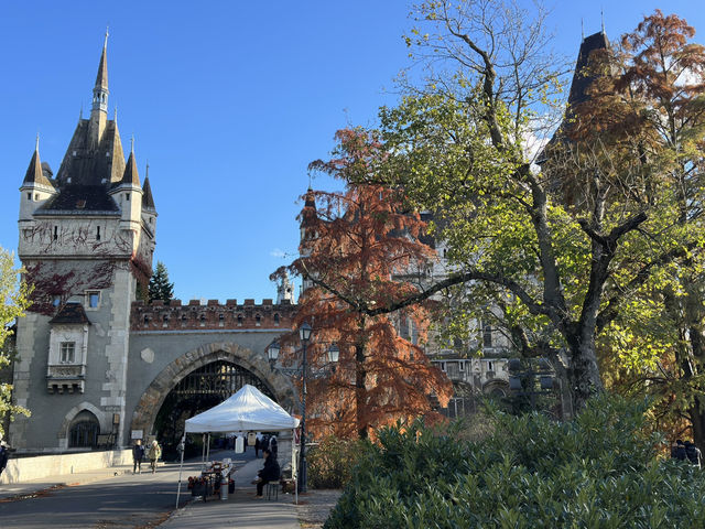 Budapest’s Baroque Charm: A Stroll Through Time