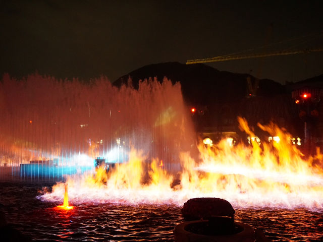 Swooping Over the Sea: Ocean Park's Best Moments