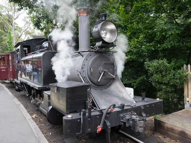 Puffing Billy澳洲小火車，來一場穿越古今的蒸汽火車旅程！🚂🚂
