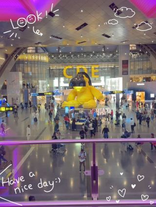 Doha Airport’s Iconic Yellow Teddy Bear: The Ultimate Instagram Spot