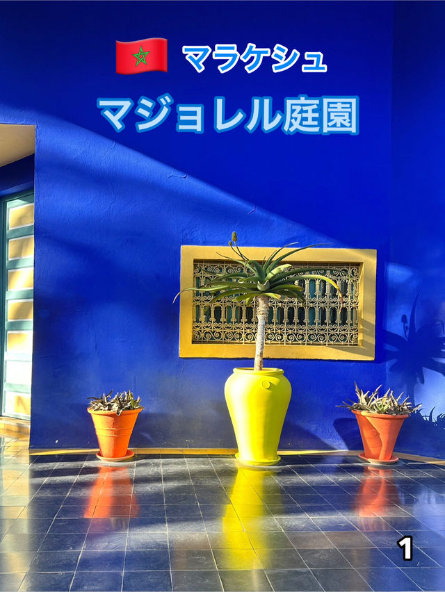 🇲🇦マラケシュ　マジョレル庭園