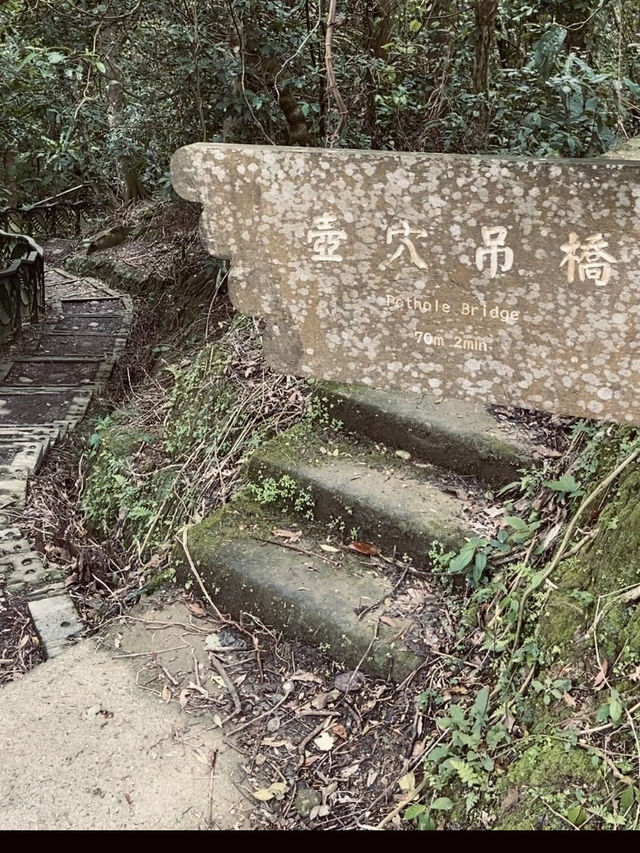 宛如走進宮崎駿的縮小版森林