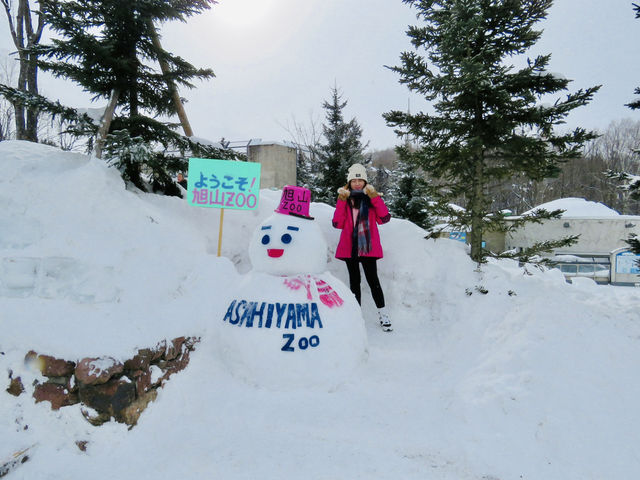 🇯🇵 北海道雪地上的企鵝遊行🐧
