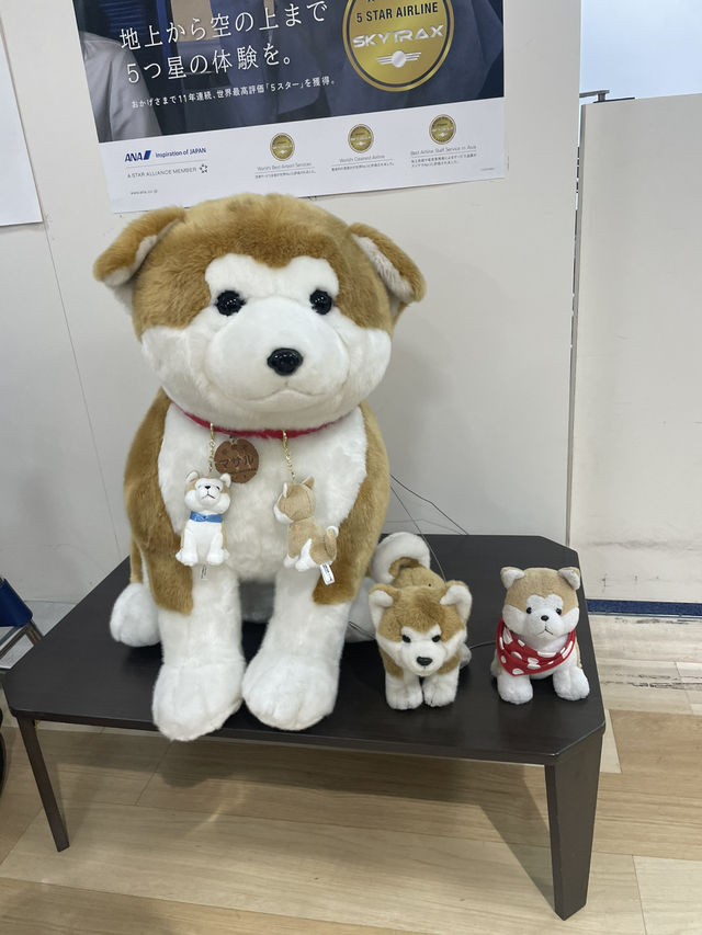 Discover the Charm of Akita Airport