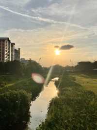 Beauty of Kallang River: A Picturesque Walk from Bishan Park