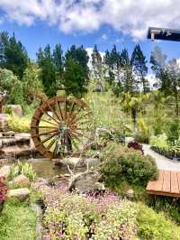 Vibrant Display of Flora @Betong Garden