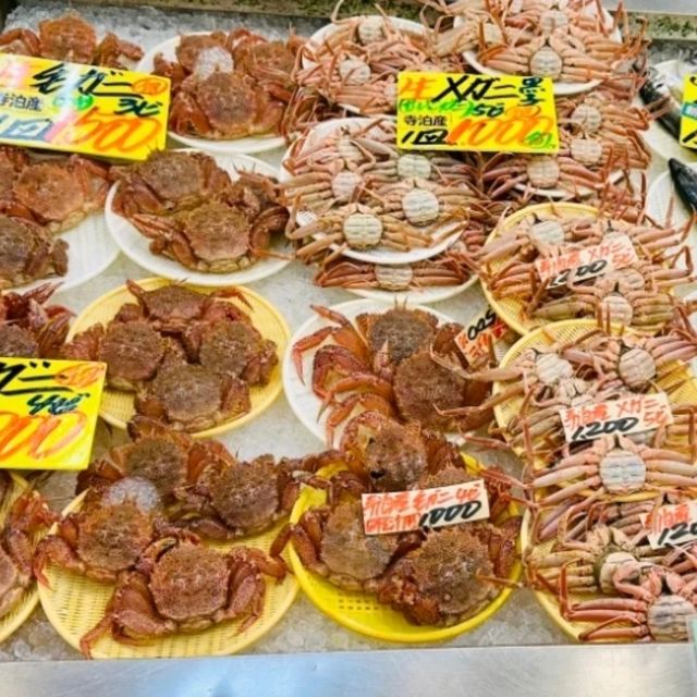 【寺泊魚市場朝市競標體驗】