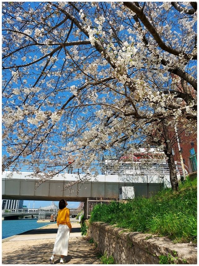 Kitakyushu : One Day Trip 