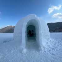 【北海道】冬だけ現れる村！然別湖コタンで絶景と冒険を楽しむ
