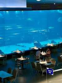 A Unique Dining Experience at Aquadining by Cebu Ocean Park