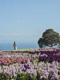 【兵庫/淡路島】日帰りドライブスポットのご紹介！