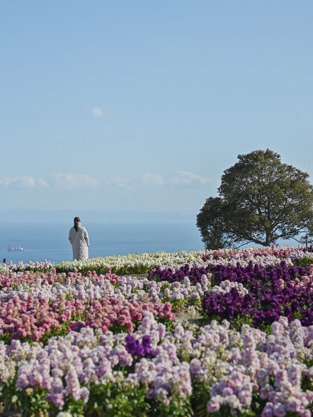 【兵庫/淡路島】日帰りドライブスポットのご紹介！