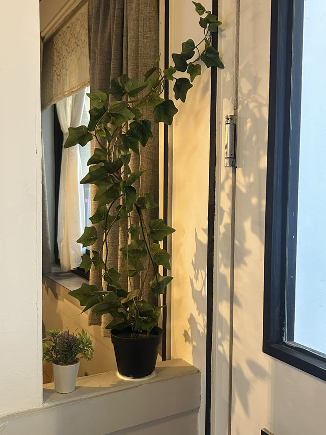 카레와 이색적 분위기까지 매력적인 더 키친 아시아🤍🧡 홍대데이트 코스 추천