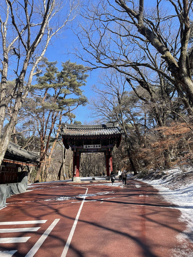 충북 보은 여행 유네스코 법주사 