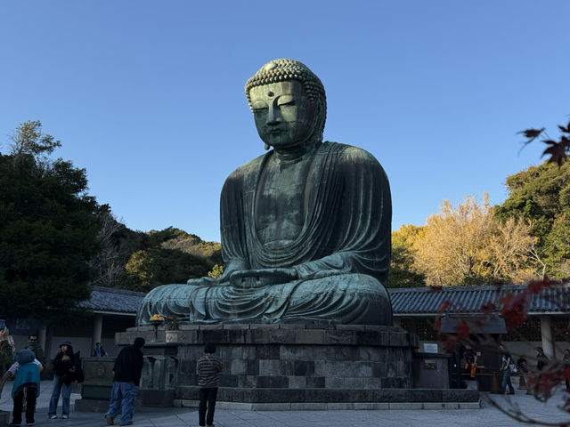 靜謐舒適的鎌倉一日遊 #東京近郊