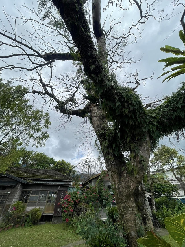 暢遊森林鐵道～林田山林業文化園區