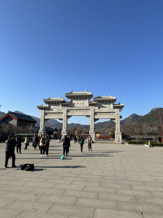 My Luoyang Adventure: 3 Days of History & Spirituality