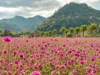 "Khao Yai: Thailand’s Breathtaking Escape to Nature"