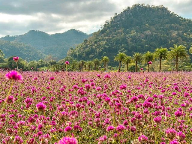 "Khao Yai: Thailand’s Breathtaking Escape to Nature"