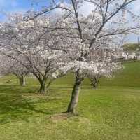Kasuga Park (春日公園)