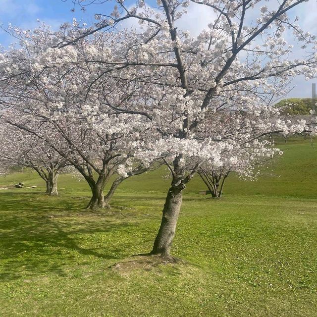 Kasuga Park (春日公園)