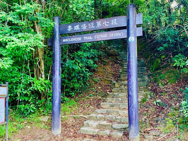 Hike into Spring: Exploring MacLehose Trail's Natural Beauty