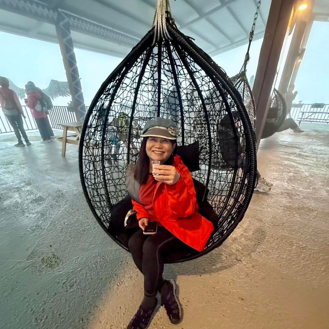 私人秘境瑪嵐雲瀑花園賞櫻、賞茶園及雲海趣
