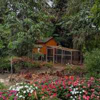 Phuean Suan Farm • Tap Ma, Rayong