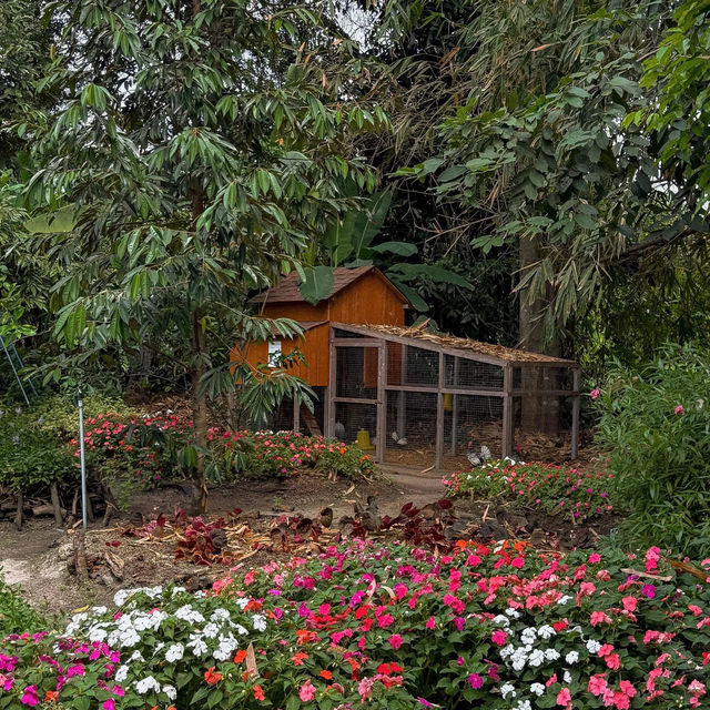 Phuean Suan Farm • Tap Ma, Rayong