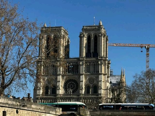 "Paris Illuminated: A Magical Evening on the Seine"