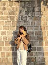 Golden Leaves & Chilly Breeze: Fall in Korea