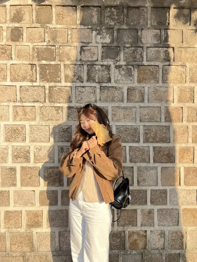 Golden Leaves & Chilly Breeze: Fall in Korea