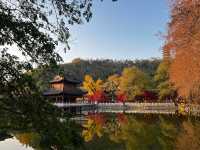 Discover the beautiful city of Zhenjiang, China