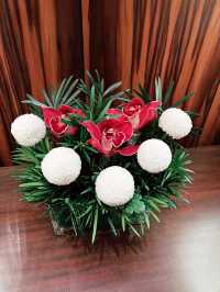 Spring Blooms: Orchids and Chrysanthemum