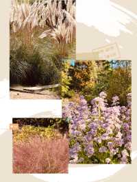 Spring's Educational Bloom 📚🌳 