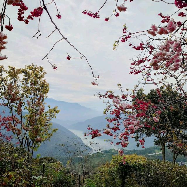 星嵐拉麵