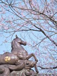 【愛知】行きなきゃ損‼️桜と城とハート絵馬！犬山城＆三光稲荷神社で春の最強コンボ！
