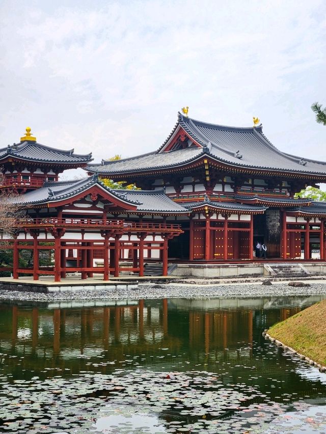 A Perfect Day in Uji: A Matcha Lover's Paradise!🍵