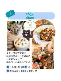 【バンコク グルメ】人気のエリアトンロー周辺のオススメ店を紹介！