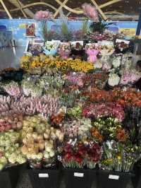 【中国🇨🇳昆明】お花いっぱいの空港✈️