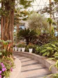 Spring's Silent Sanctuary? Geumgang Arboretum Delivers