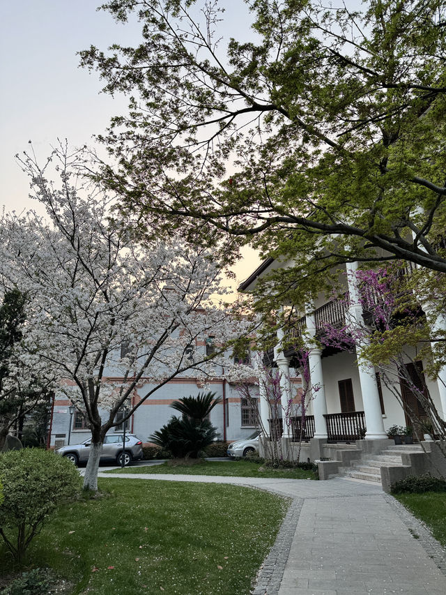 Spring in Shanghai is the BEST!