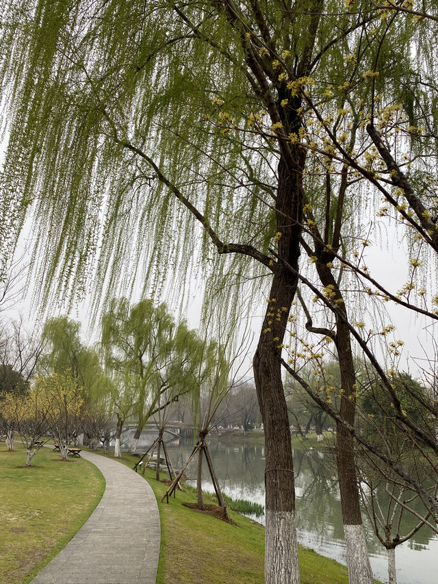 南京 玄武湖景區 情侶園 🌱 🪻