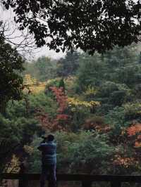 Longyi Botanical Garden