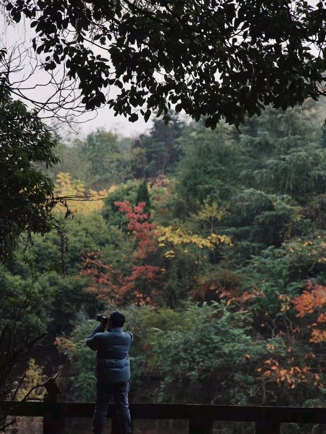 Longyi Botanical Garden