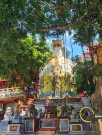ฮ่องกง