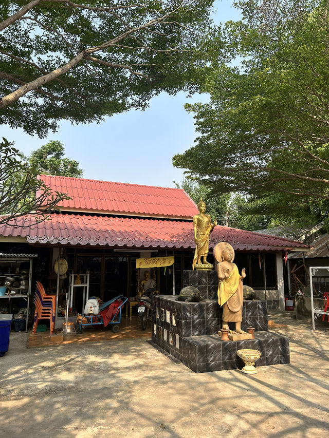 🙏🏼พาไปชมวันโนนม่วง จ.ชัยภูมิ