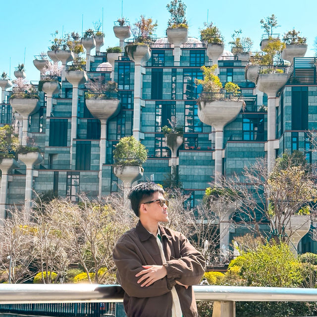 Tian An 1000 Trees  Shanghai