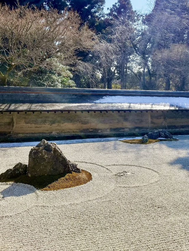Spring Stroll at Ryoan-ji